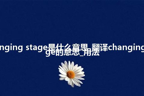 changing stage是什么意思_翻译changing stage的意思_用法