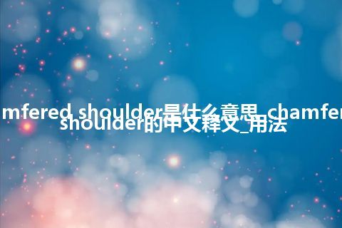chamfered shoulder是什么意思_chamfered shoulder的中文释义_用法
